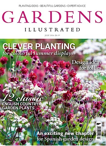 How to plan a dry garden plus plant combinations